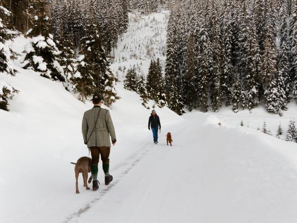 Hundehaltung, fotografiert von Baumgartner