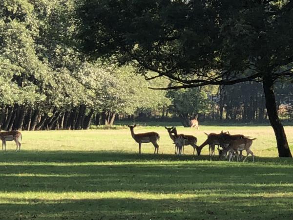 Wildpark Mageregg