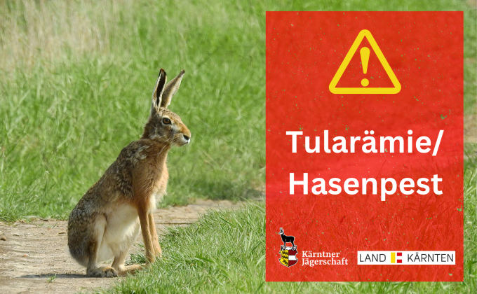 Hasenpest Hasenpest