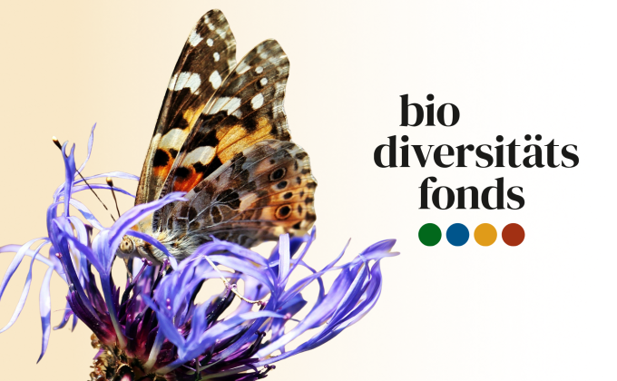 Biodiversitätsfonds Biodiversitätsfonds